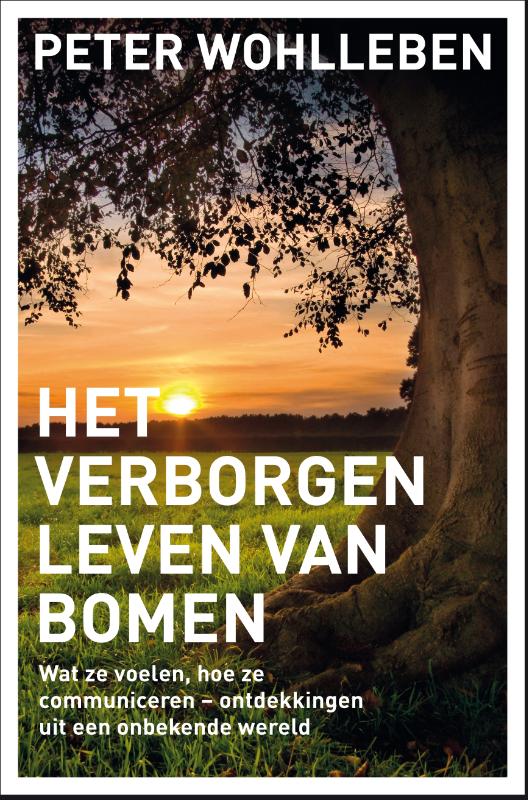 HET VERBORGEN LEVEN VAN BOMEN