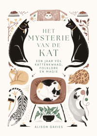 HET MYSTERIE VAN DE KAT