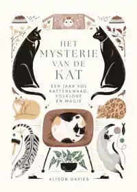 HET MYSTERIE VAN DE KAT