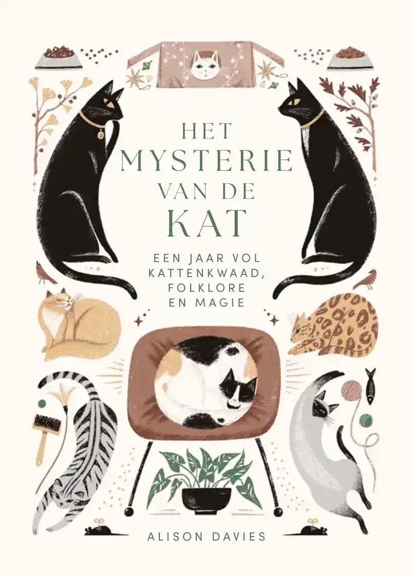 HET MYSTERIE VAN DE KAT