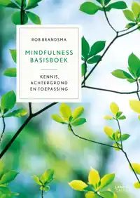 MINDFULNESS BASISBOEK