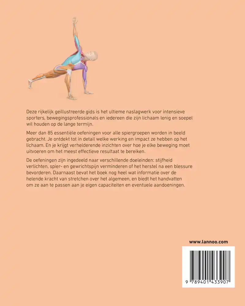 ANATOMIE VAN HET STRETCHEN