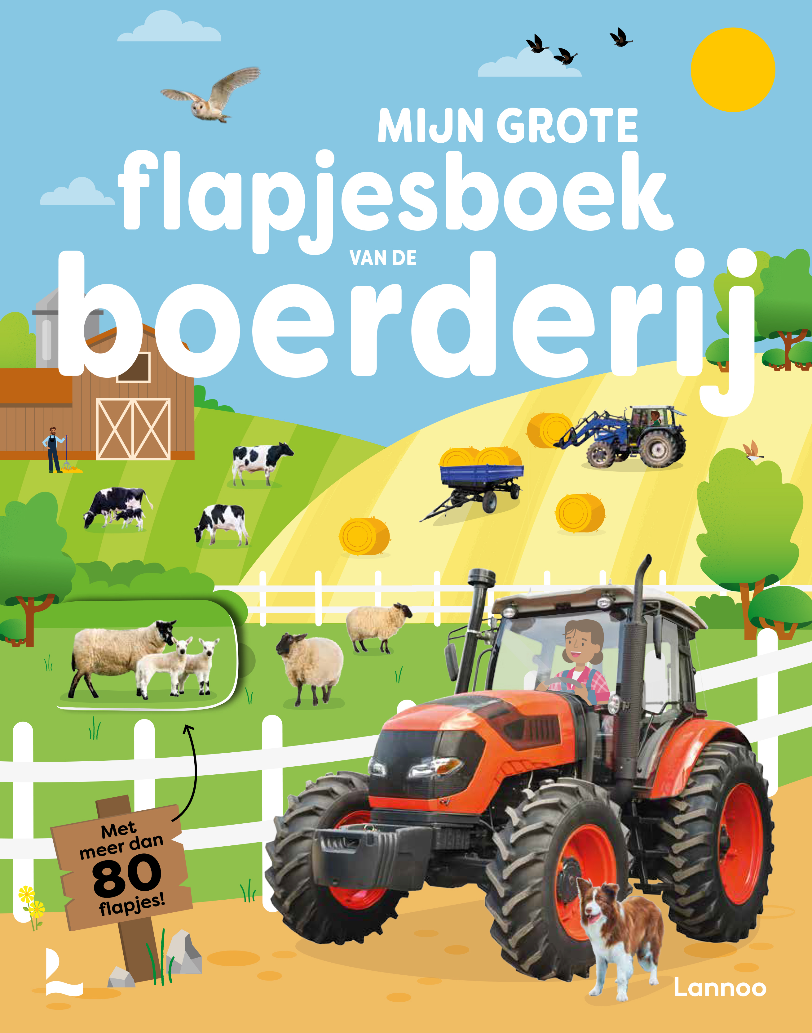 MIJN GROTE FLAPJESBOEK VAN DE BOERDERIJ