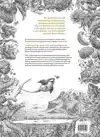 TERRA ULTIMA
