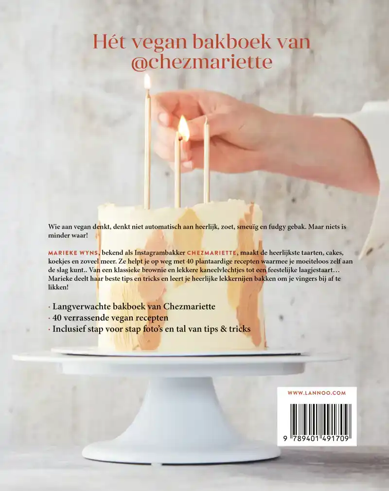 HET VEGAN BAKBOEK