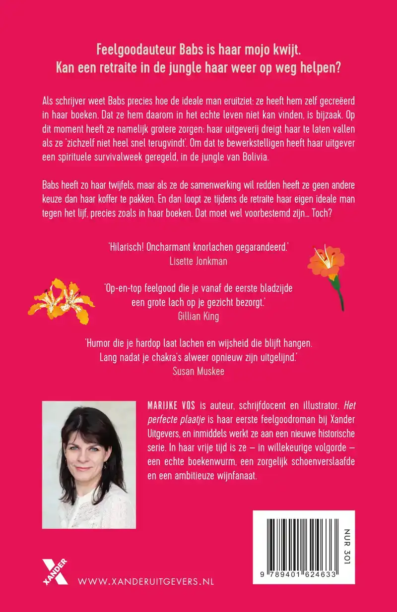 HET PERFECTE PLAATJE