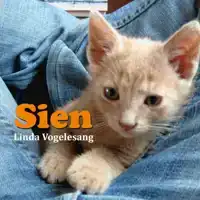 SIEN