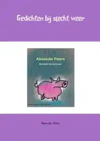 GEDICHTEN BIJ SLECHT WEER
