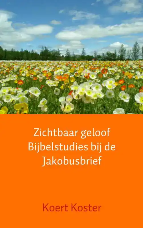 ZICHTBAAR GELOOF BIJBELSTUDIES BIJ DE JAKOBUSBRIEF