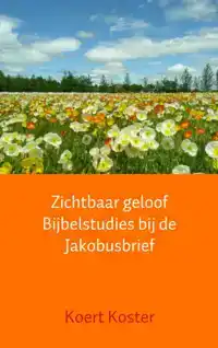 ZICHTBAAR GELOOF BIJBELSTUDIES BIJ DE JAKOBUSBRIEF