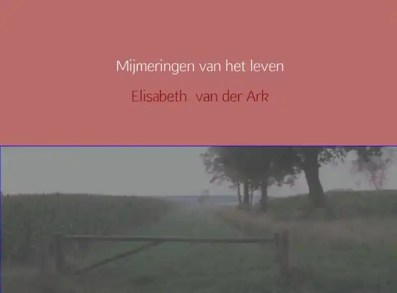 MIJMERINGEN VAN HET LEVEN