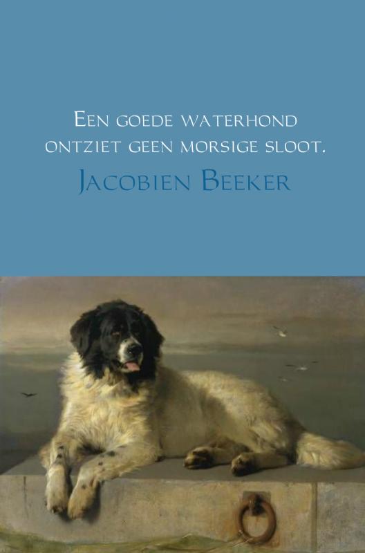 EEN GOEDE WATERHOND ONTZIET GEEN MORSIGE SLOOT