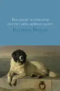 EEN GOEDE WATERHOND ONTZIET GEEN MORSIGE SLOOT