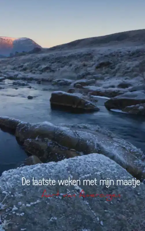 DE LAATSTE WEKEN MET MIJN MAATJE
