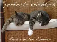 PERFECTE VRIENDJES