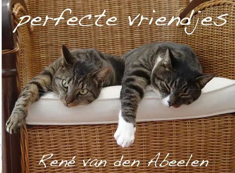 PERFECTE VRIENDJES