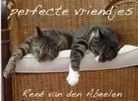 PERFECTE VRIENDJES