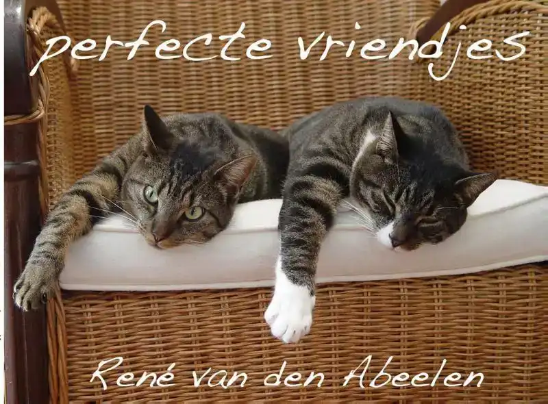 PERFECTE VRIENDJES
