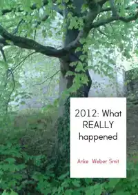 2012: WHAT REALLY HAPPENED