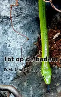 TOT OP DE BODEM