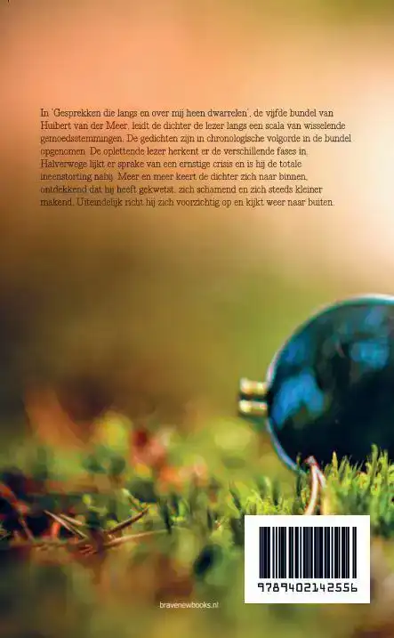 GESPREKKEN DIE LANGS EN OVER MIJ HEEN DWARRELEN