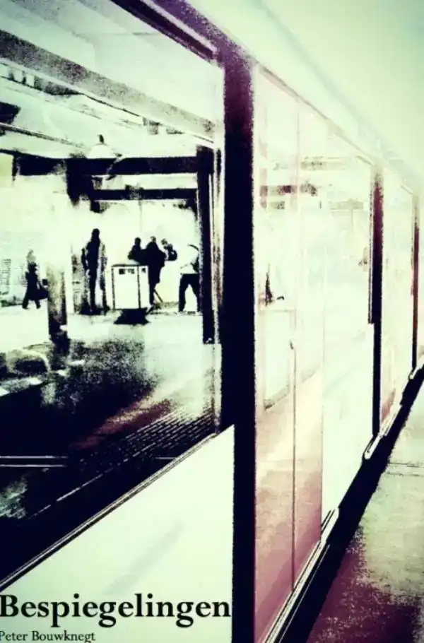 BESPIEGELINGEN