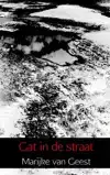 GAT IN DE STRAAT