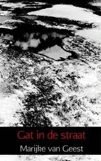 GAT IN DE STRAAT
