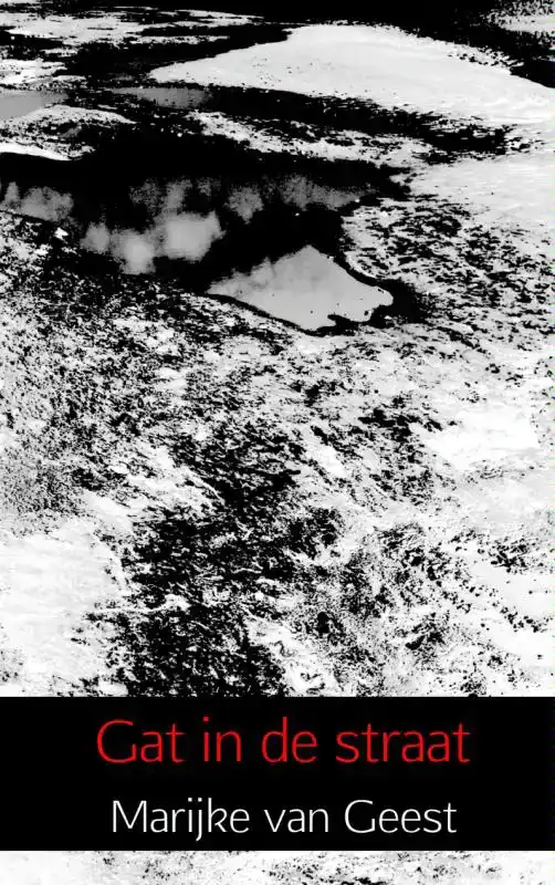 GAT IN DE STRAAT