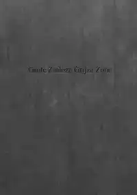 GROTE ZINLOZE GRIJZE ZONE