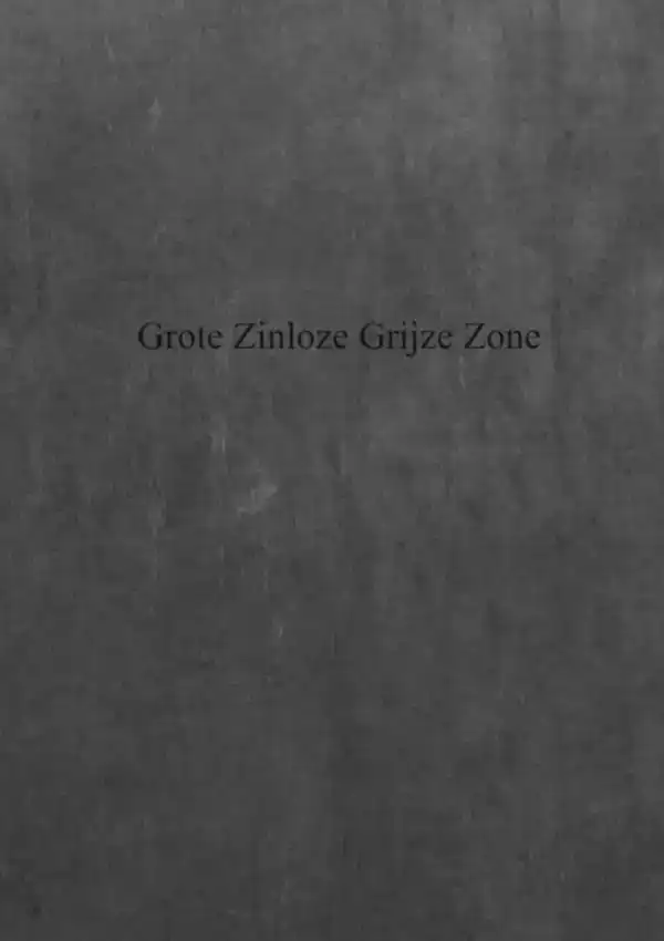GROTE ZINLOZE GRIJZE ZONE