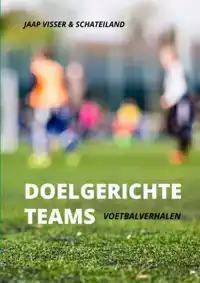 DOELGERICHTE TEAMS