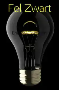 FEL ZWART