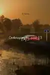 ONTKNOPING BIJ PAAL 13