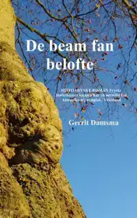 DE BEAM FAN BELOFTE