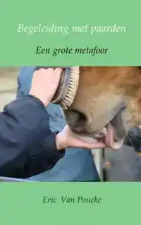 BEGELEIDING MET PAARDEN