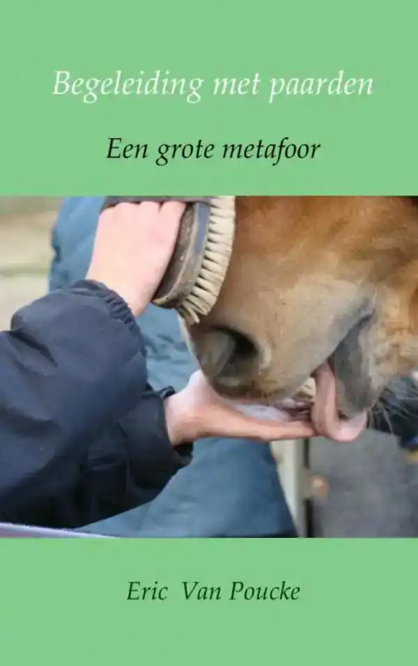 BEGELEIDING MET PAARDEN