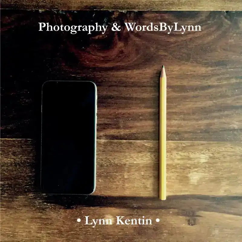 PHOTOGRAPHY & WORDSBYLYNN