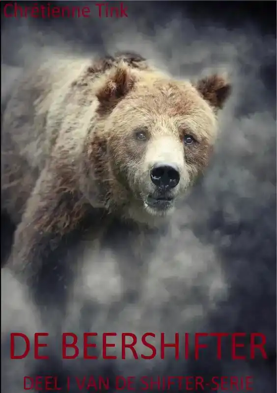 DE BEERSHIFTER