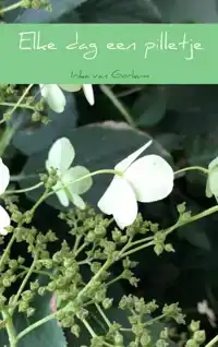 ELKE DAG EEN PILLETJE