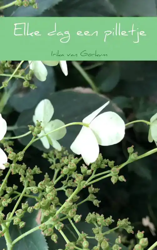 ELKE DAG EEN PILLETJE