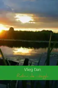 VLIEG DAN