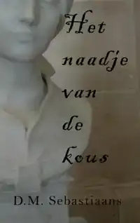 HET NAADJE VAN DE KOUS