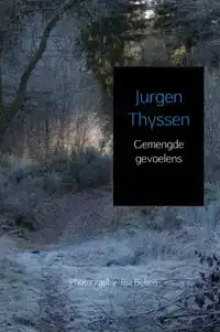 GEMENGDE GEVOELENS