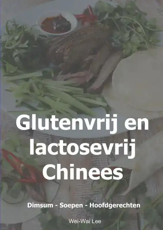 GLUTENVRIJ EN LACTOSEVRIJ CHINEES