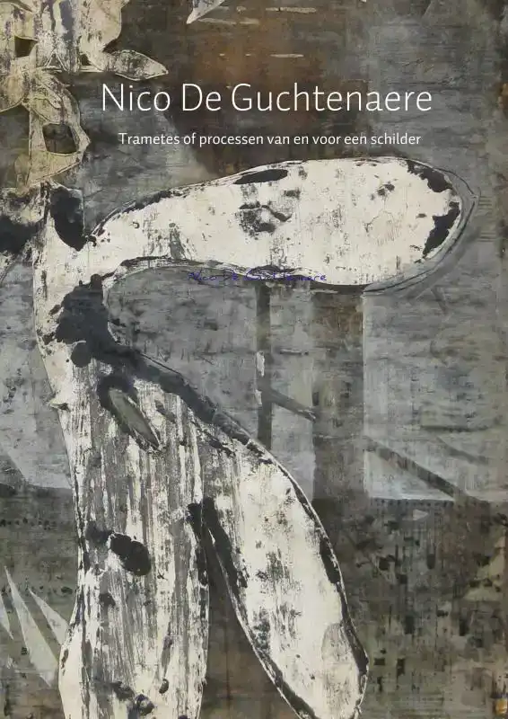 NICO DE GUCHTENAERE