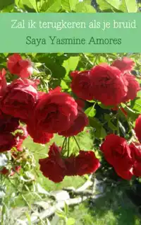 ZAL IK TERUGKEREN ALS JE BRUID