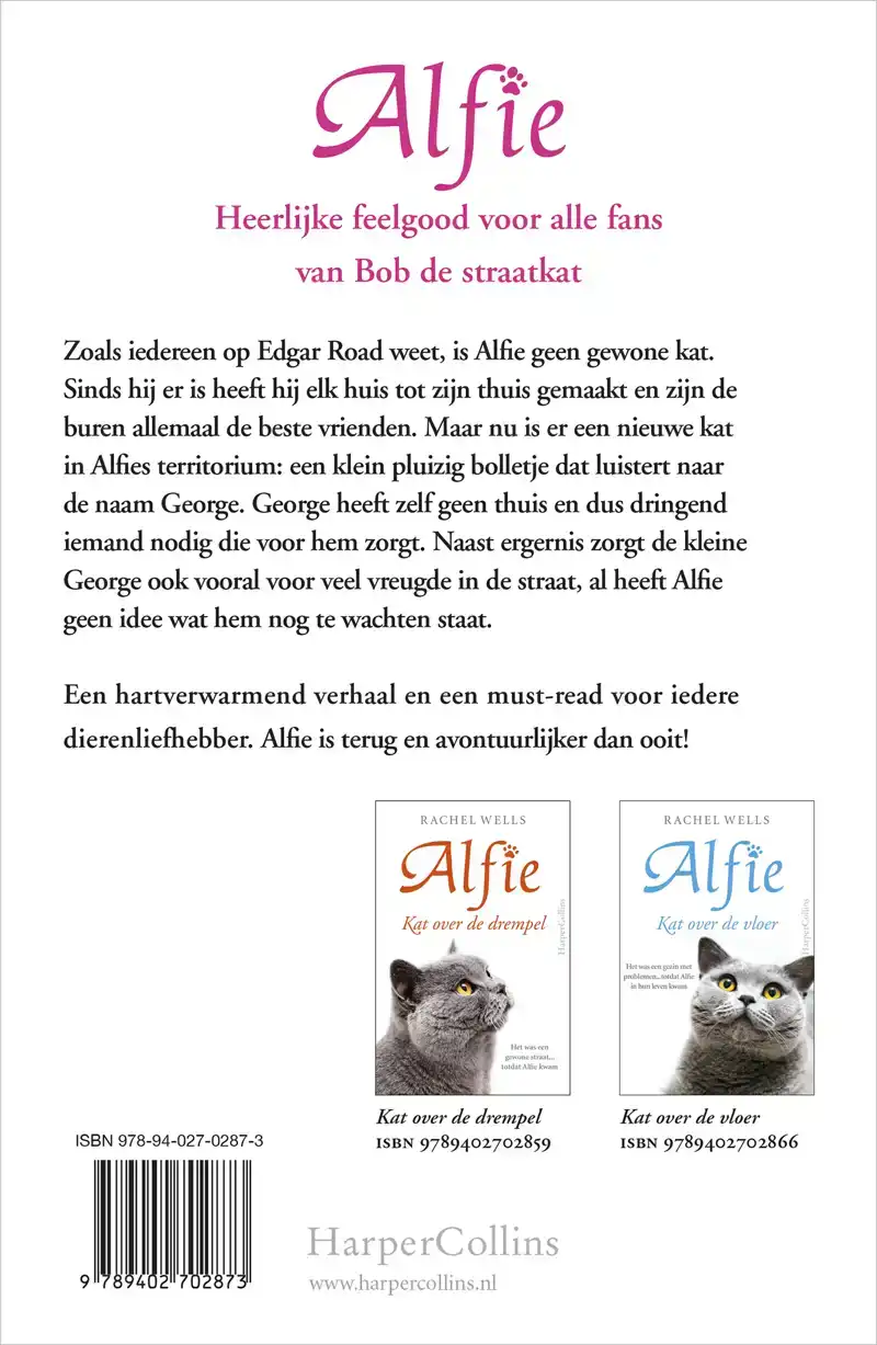 KAT VOOR DE DEUR