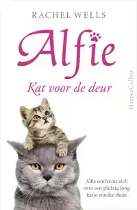 KAT VOOR DE DEUR
