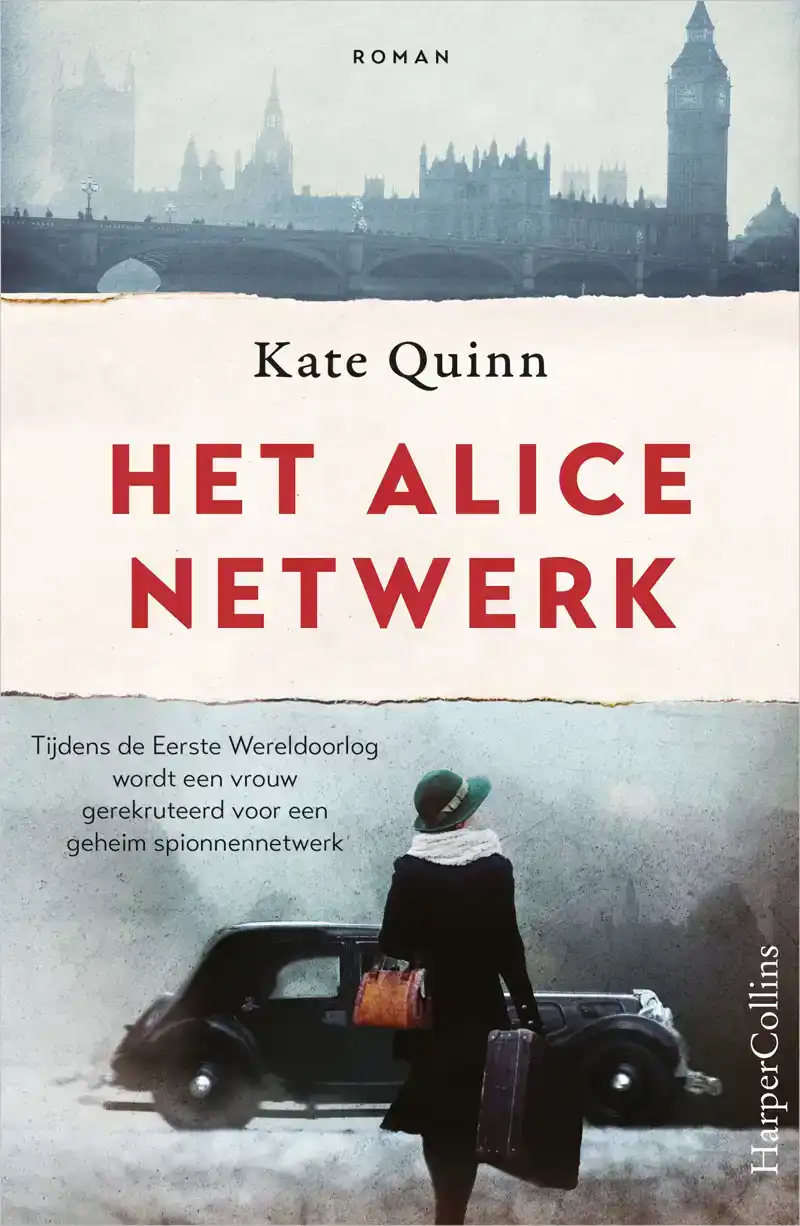 HET ALICE-NETWERK